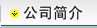 公司介绍