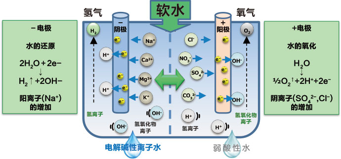 真空碳氢化合物清洗